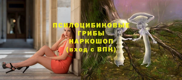 дмт Алзамай