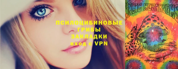 дмт Алзамай